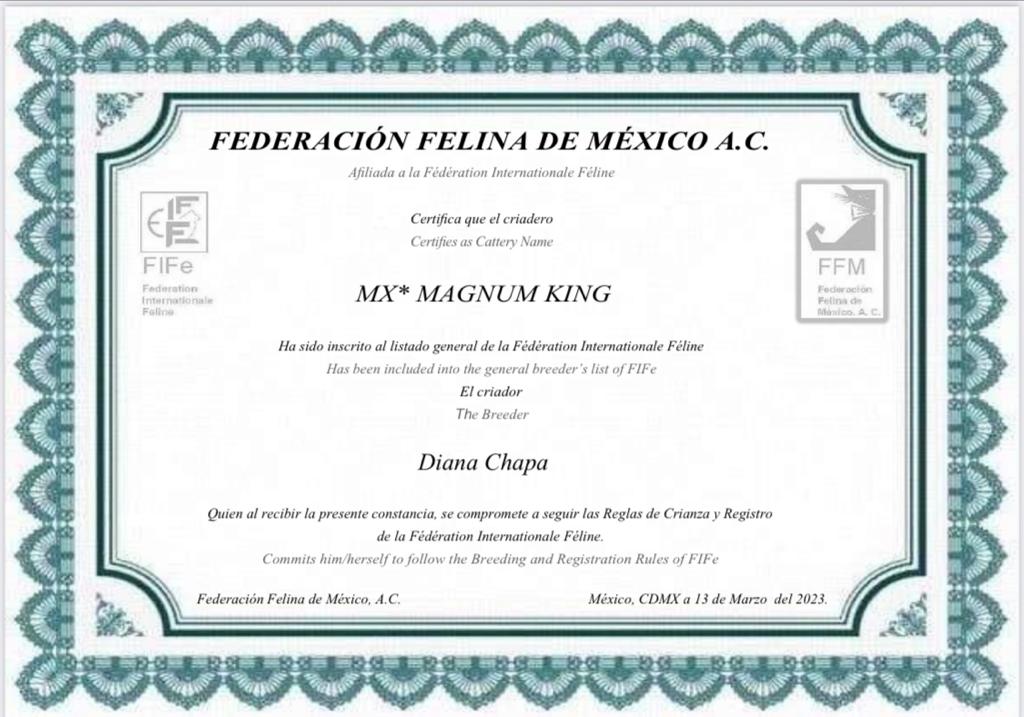 Certificado 1