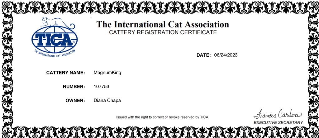 Certificado 2